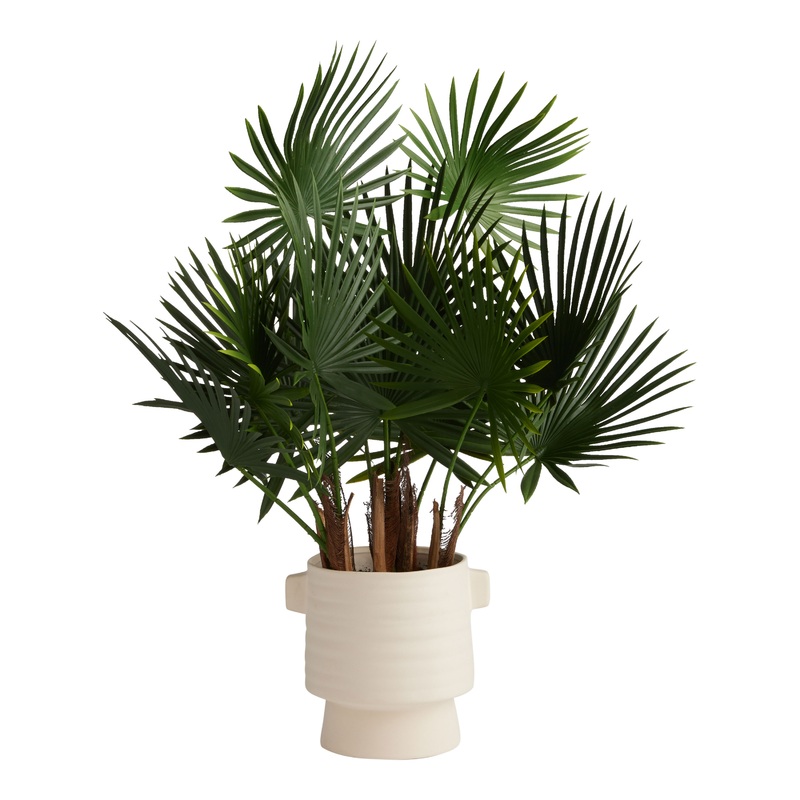 Faux Chinese Fan Palm in Ivory Cement Pot