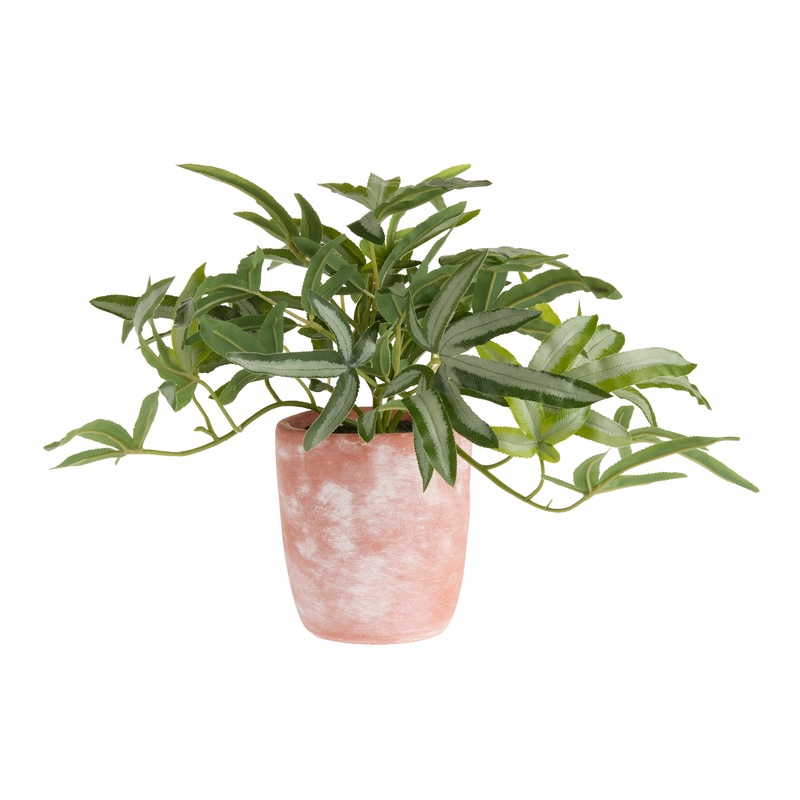 Faux Cretan Brake Fern in Terracotta Pot