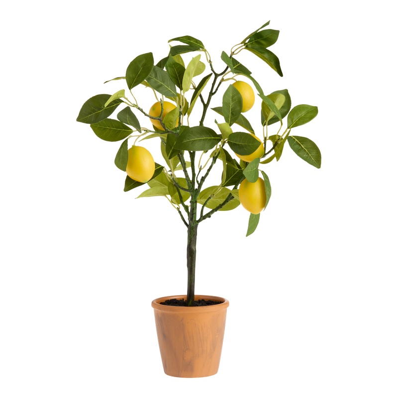 Faux Lemon Tree in Terracotta Pot