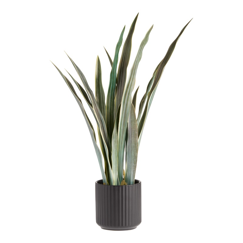 Faux Variegated Snake Plant in Black Porcelain Pot