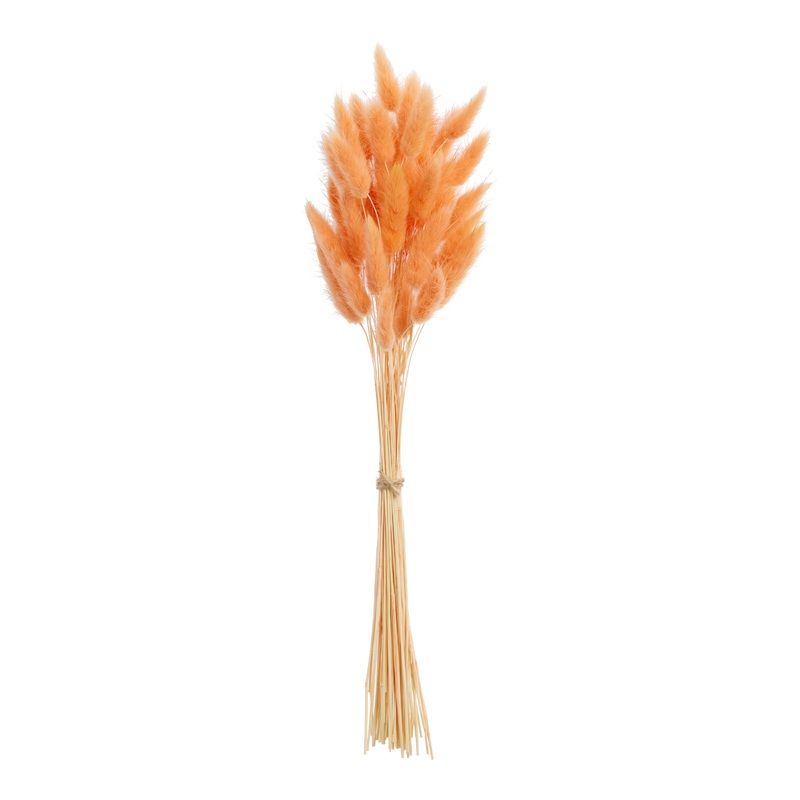 Apricot Dried Bunny Tail Bunch