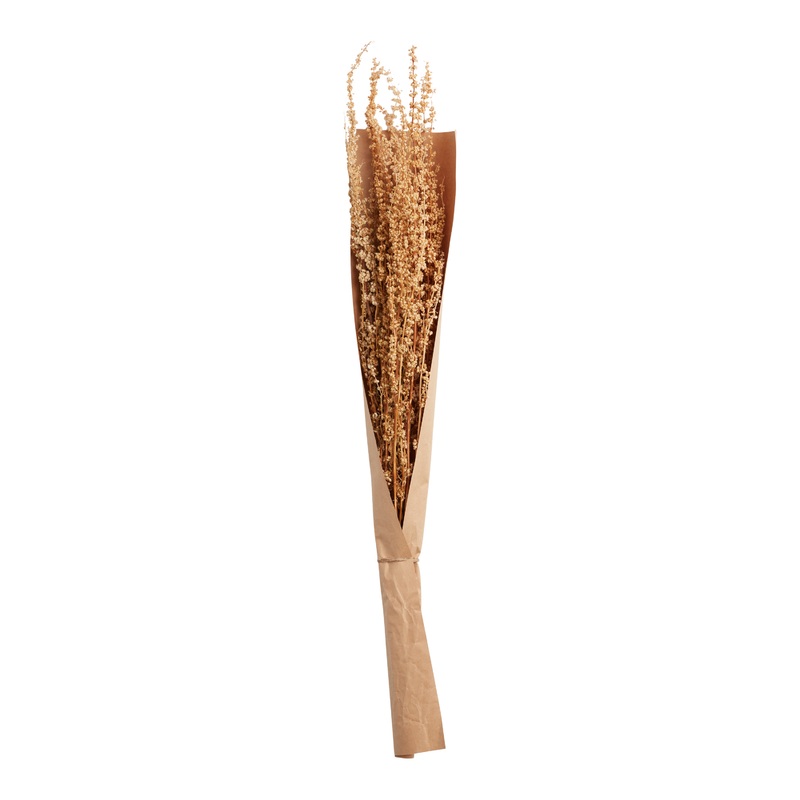 Bleached Dried Spinacia Oleracea Bunch