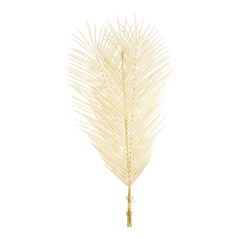 Bleached Faux Palm Stem Bunch