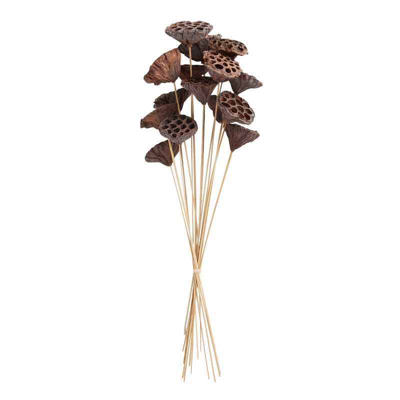 Dried Lotus Pod Bunch