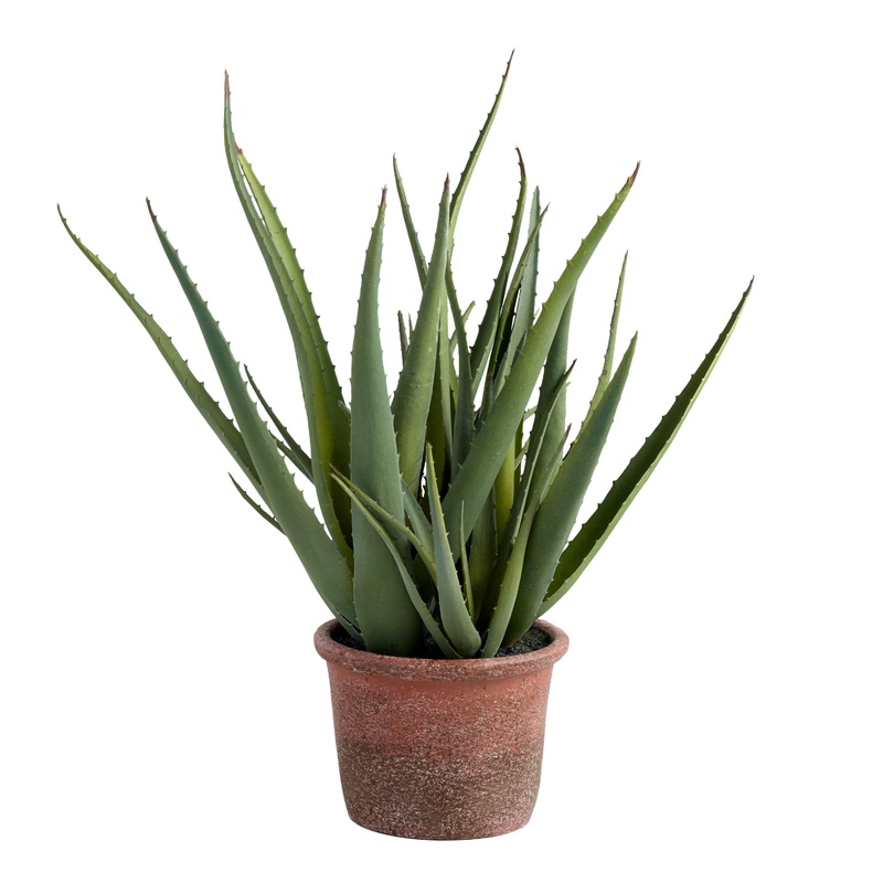 Faux Aloe Plant In Terracotta Pot