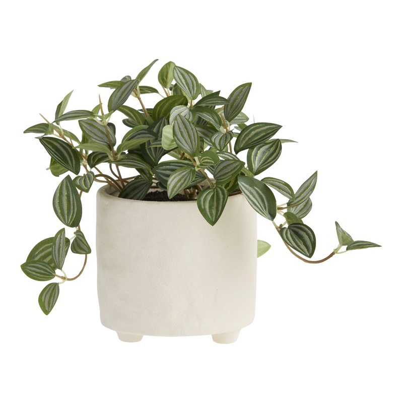 Faux Eyebrow Leaf Plant In White Footed Pot