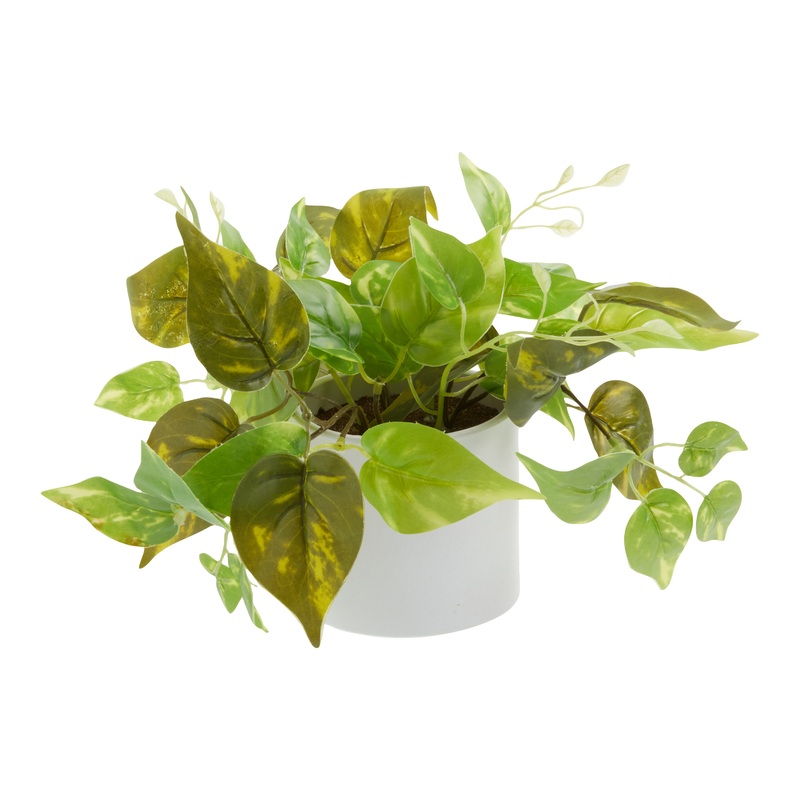 Faux Pothos Plant in White Cement Pot