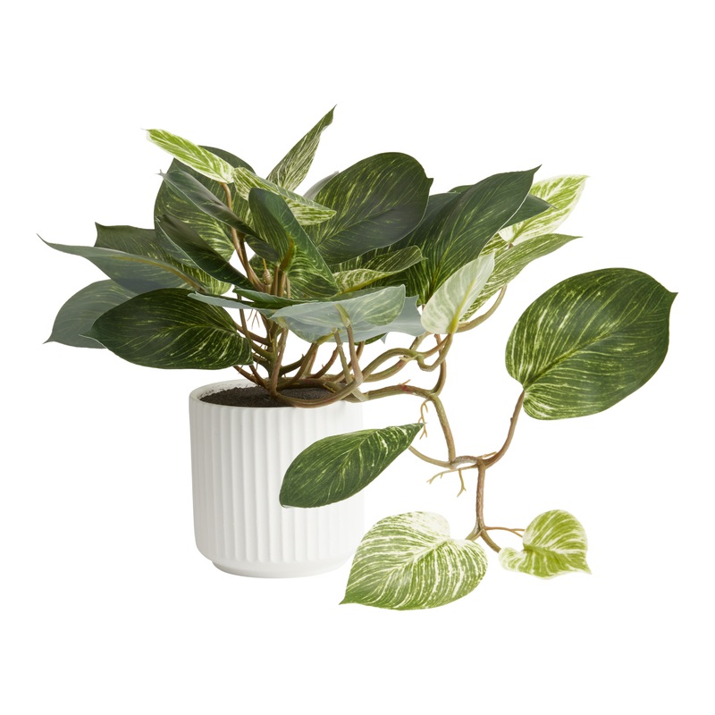 Faux Pothos Plant in White Ceramic Pot