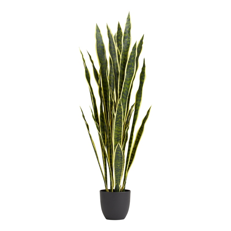Faux Snake Plant