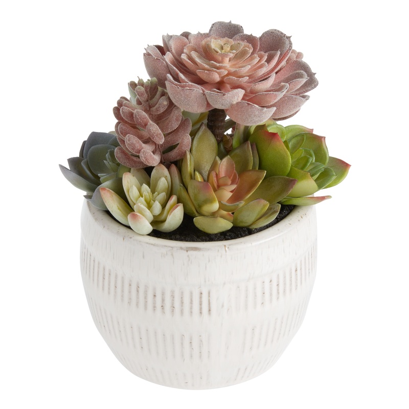 Faux Succulent Arrangement in Glazed Ivory Ceramic Pot
