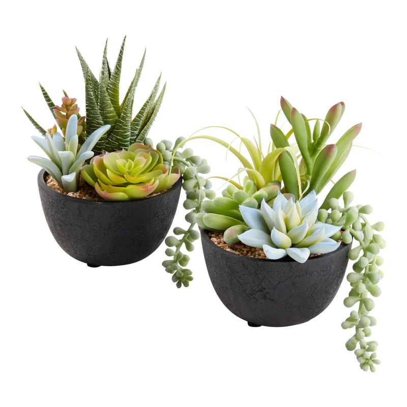 Faux Succulent Arrangements in Black Pots Set of 2