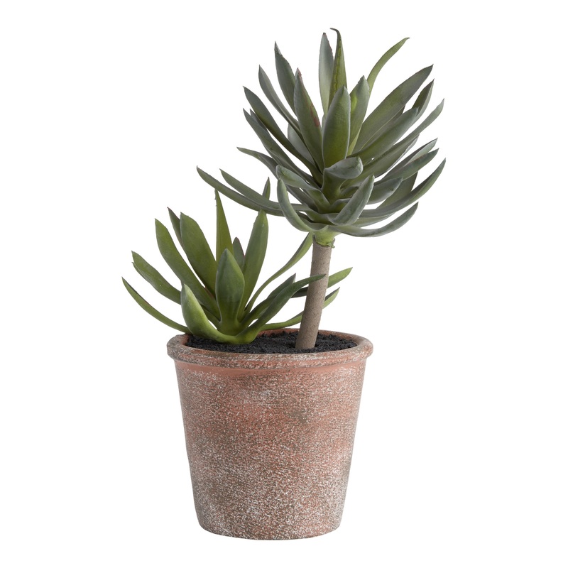 Faux Succulents in Rustic Pot