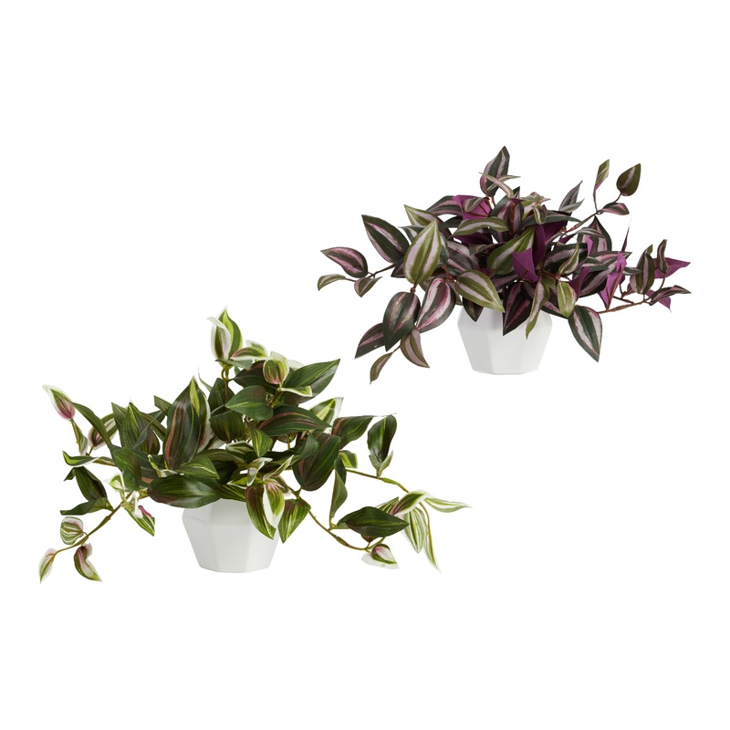 Faux Tradescantia Zebrina Plants In Ceramic Pots Set Of 2