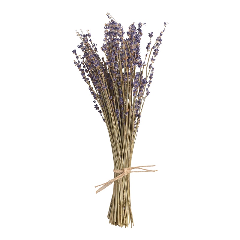 French Lavender Bunch