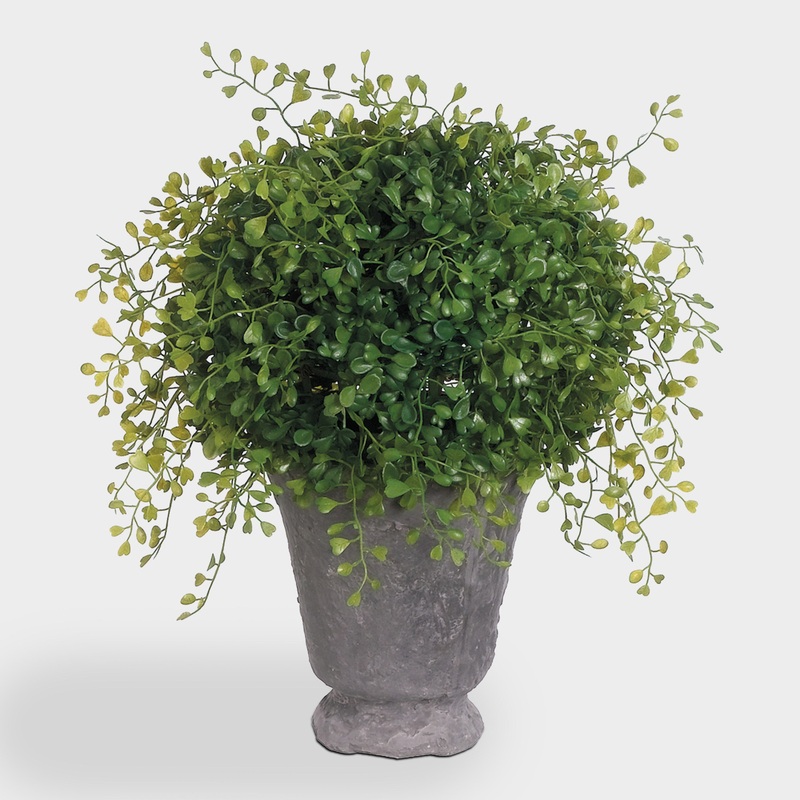 Medium Faux Angel Vine Ball in a Terracotta Pot