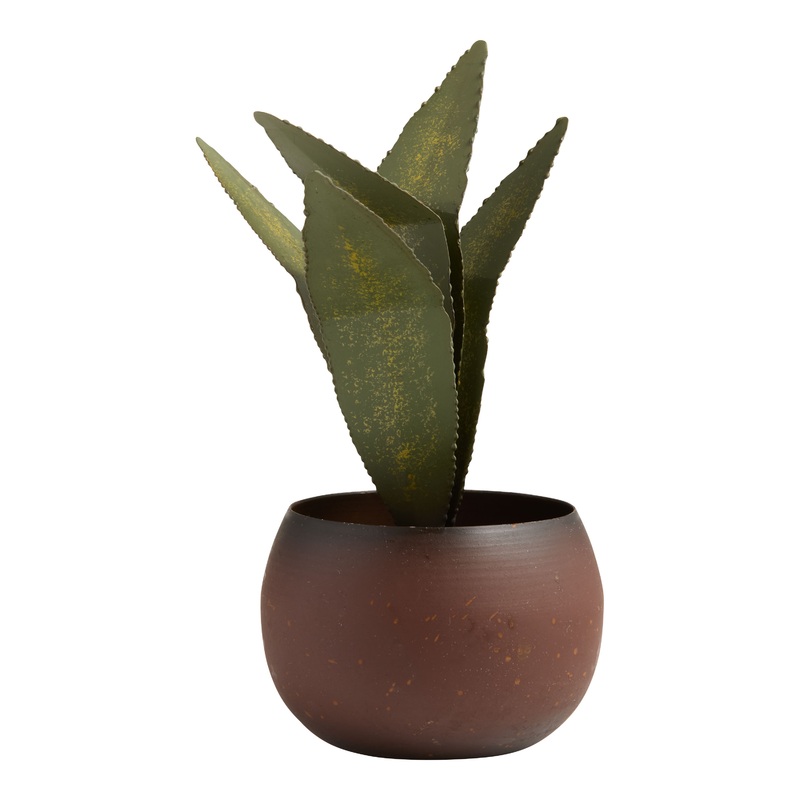 Metal Potted Aloe Vera Plant
