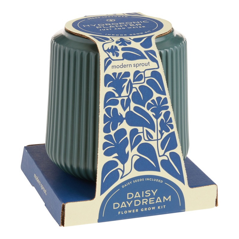 Modern Sprout Daisy Daydream Flower Grow Kit