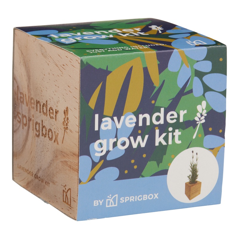 Sprigbox Lavender Grow Kit