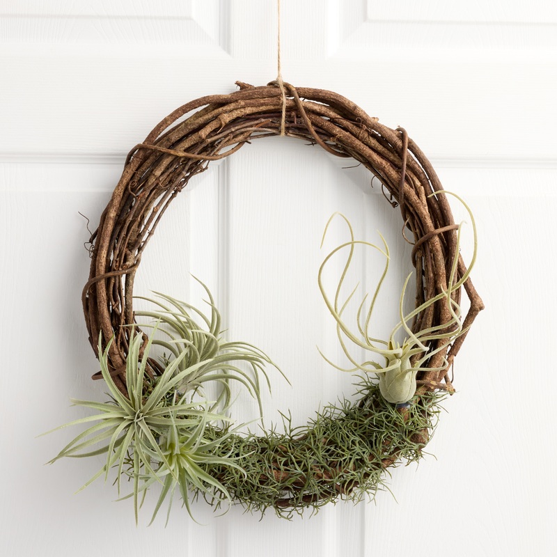 Faux Air Plant Twig Wreath