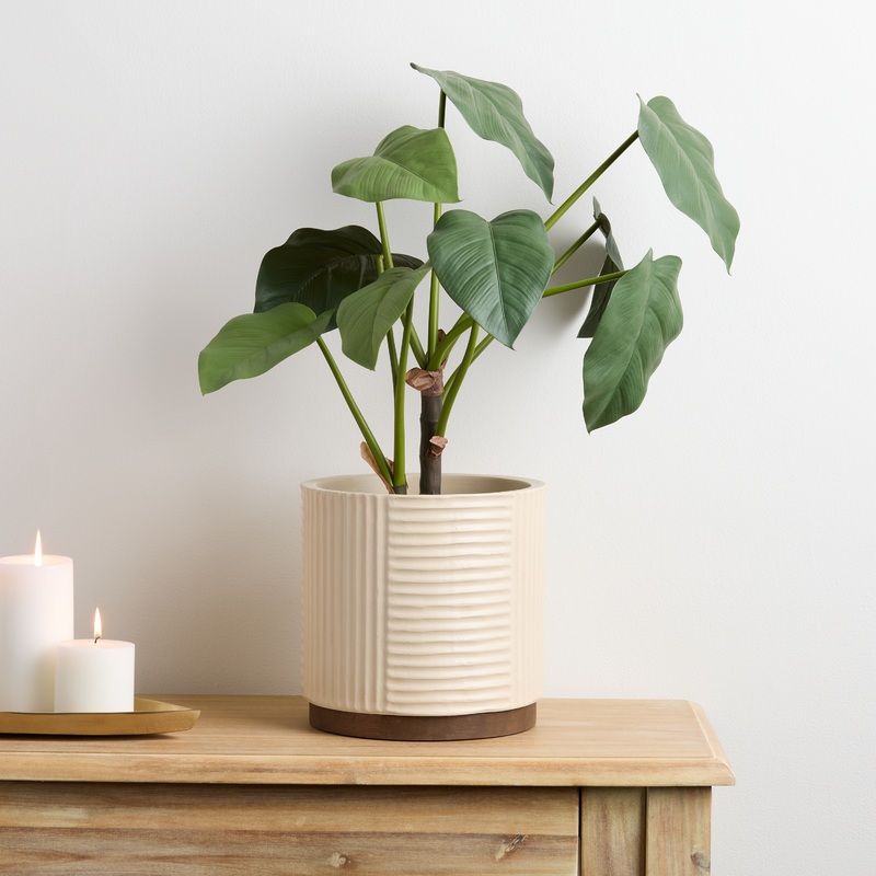 Faux Dasheen Leaf Plant with Ivory Ceramic and Wood Planter