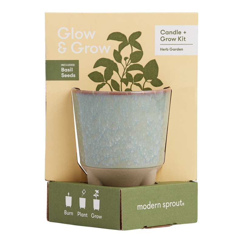 Modern Sprout Basil Glow and Grow Ceramic Candle & Grow Kit