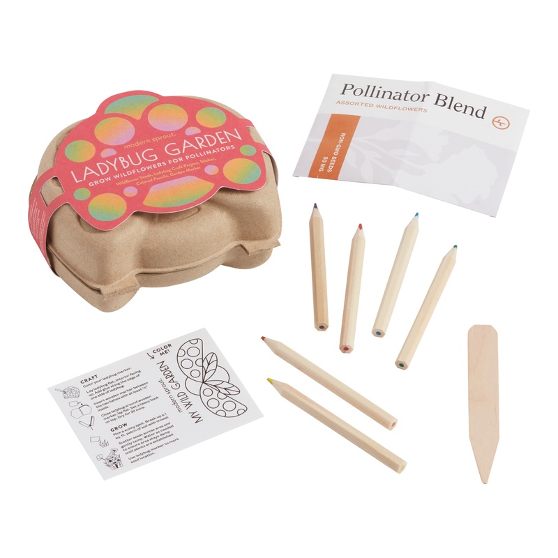 Modern Sprout Curious Critters Ladybug Garden Kit