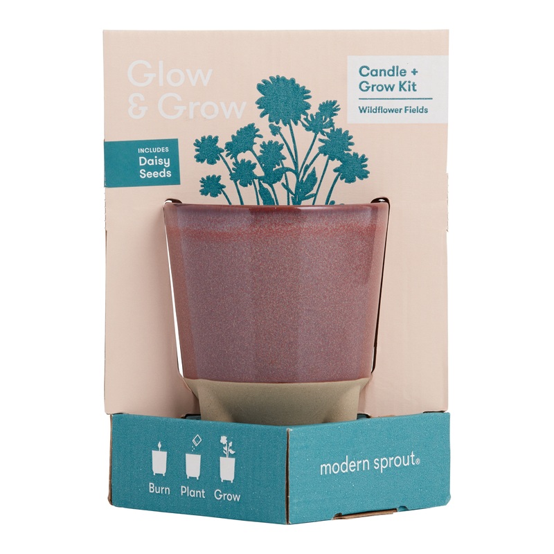 Modern Sprout Daisy Glow and Grow Ceramic Candle & Grow Kit