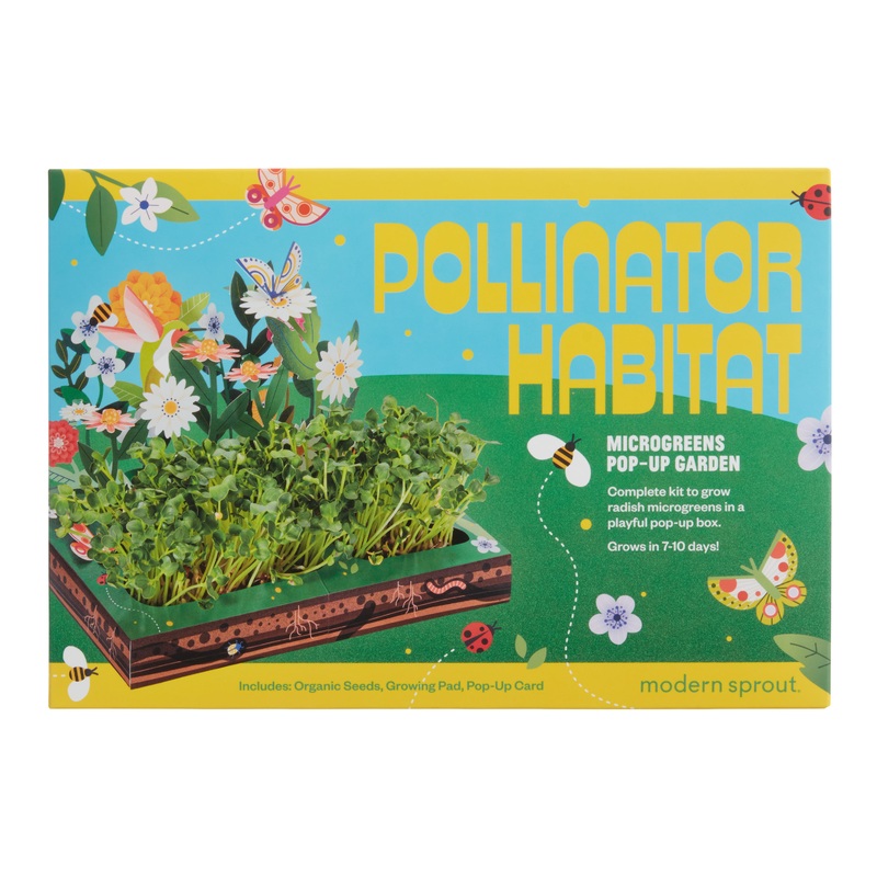 Modern Sprout Pollinator Habitat Pop Up Microgreens Grow Kit