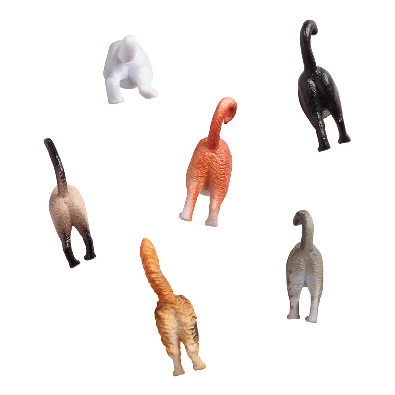 Cat Butt Magnets 6 Pack