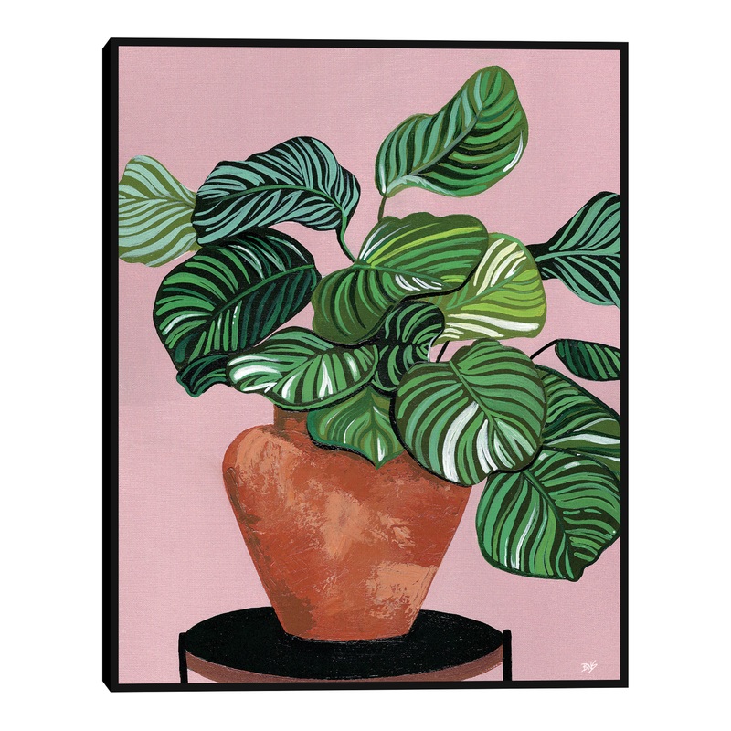 Calatheas By Bria Nicole Framed Canvas Wall Art