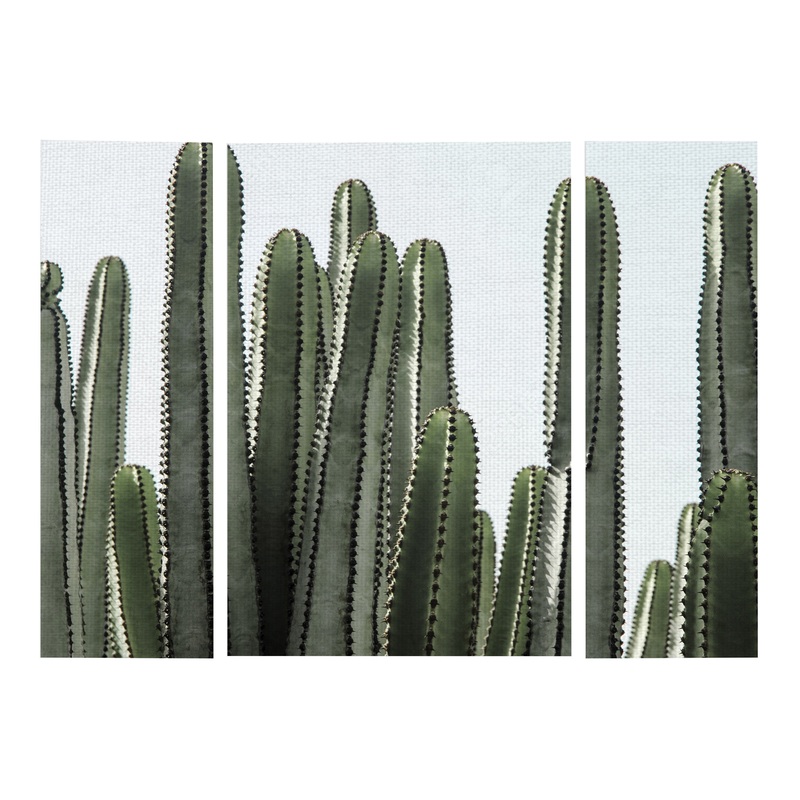 Desert Detail Triptych Canvas Wall Art 3 Piece