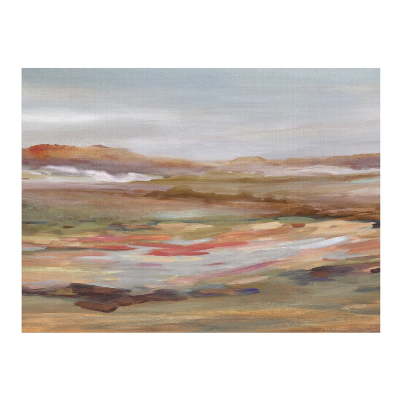 Painted Desert by Carol Robinson Canvas Wall Art