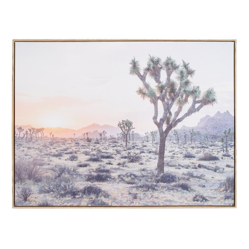Joshua Tree By Dean Mayo Framed Canvas Wall Art