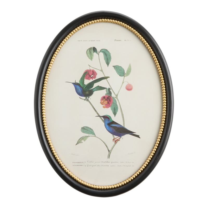 Oval Bird and Botanicals Framed Wall Art