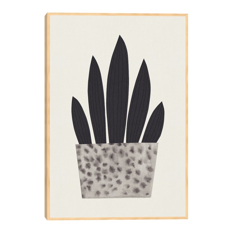 Plant In A Pot I By Alisa Galitsyna Framed Canvas Wall Art