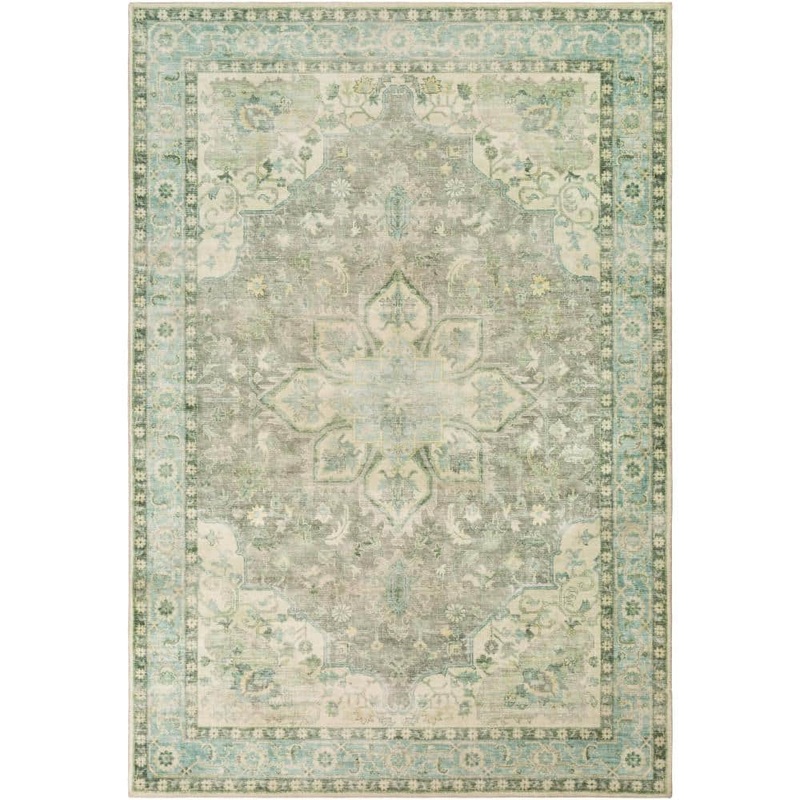Livabliss Ottawa Sage/Aqua 8 ft. x 10 ft. Indoor Area Rug S00161038381