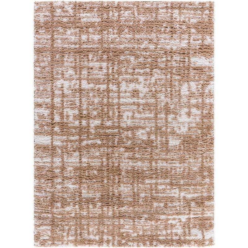 Livabliss Sacramento Shag Brown 5 ft. x 7 ft. Modern Indoor Area Rug SCS2305-537