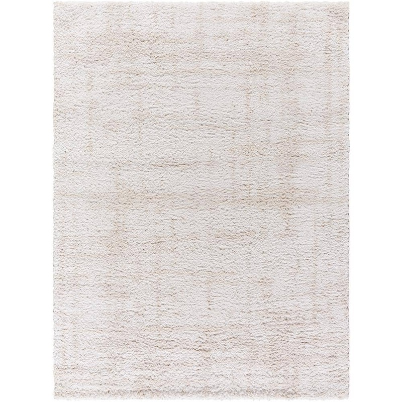 Livabliss Sacramento Shag White/Beige Modern 5 ft. x 7 ft. Indoor Area Rug SCS2300-537
