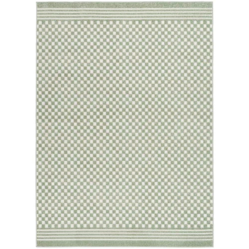 Nourison Casual Green 4 ft. x 6 ft. Checker Contemporary Area Rug 983428