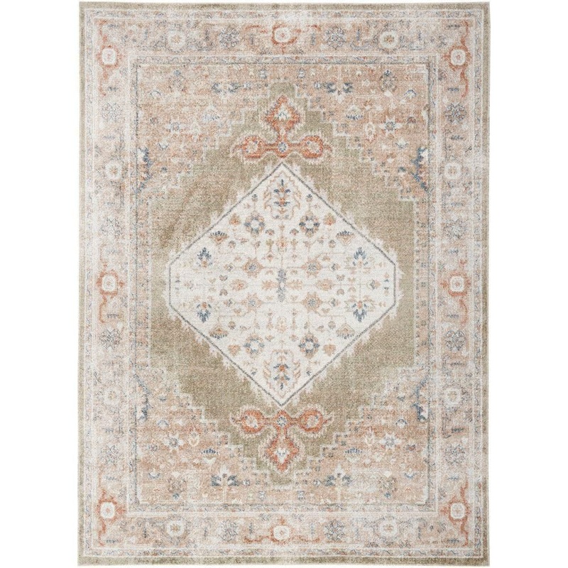 Nourison Astra Machine Washable Sage Multi 5 ft. x 7 ft. Distressed Traditional Area Rug 124357