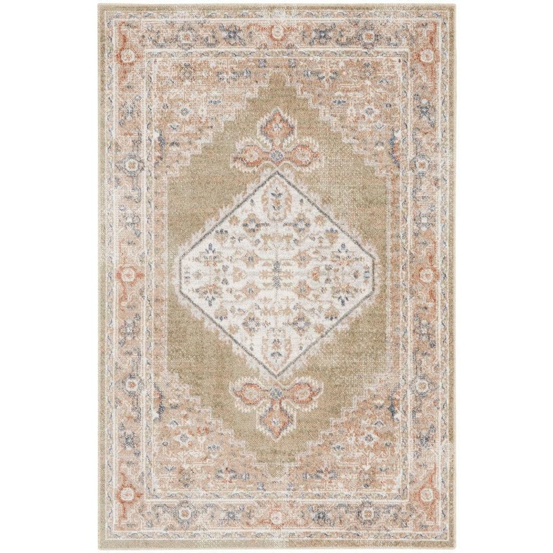 Nourison Astra Machine Washable Sage Multi 2 ft. x 4 ft. Distressed Traditional Area Rug 124173
