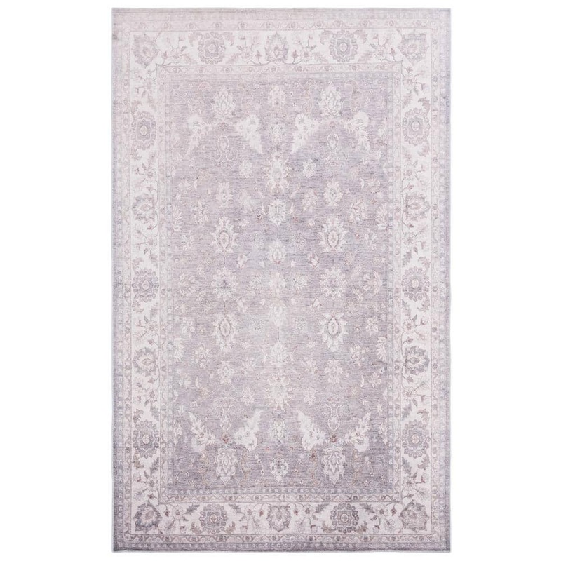 SAFAVIEH Arizona Gray/Ivory 6 ft. x 9 ft. Distressed Border Ornate Machine Washable Area Rug ARZ197F-6