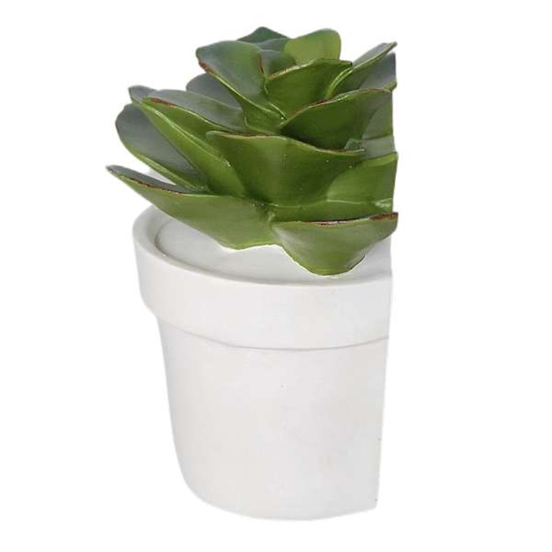 1-Piece Succulent Bookend, 6″