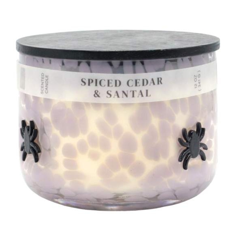 Spiced Cedar & Santal Scented Spider Icon Jar Candle, 12oz