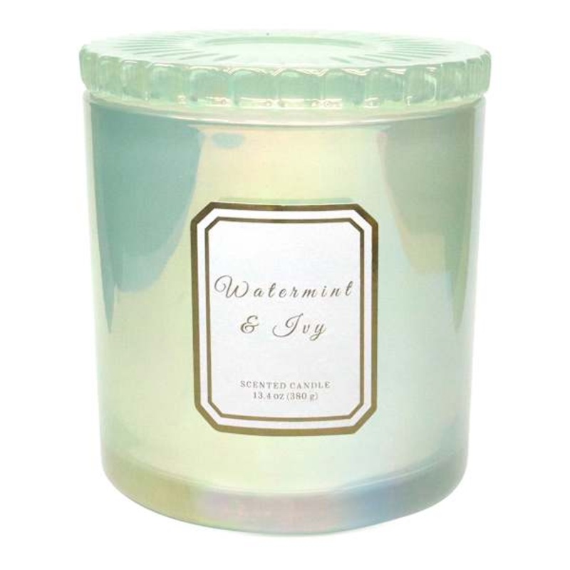 Watermint & Ivy Scented Jar Candle, 13.4oz