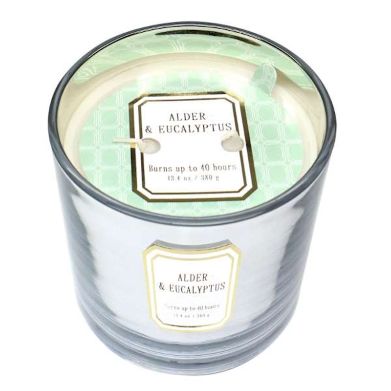 Alder & Eucalyptus Scented Jar Candle, 13.4oz