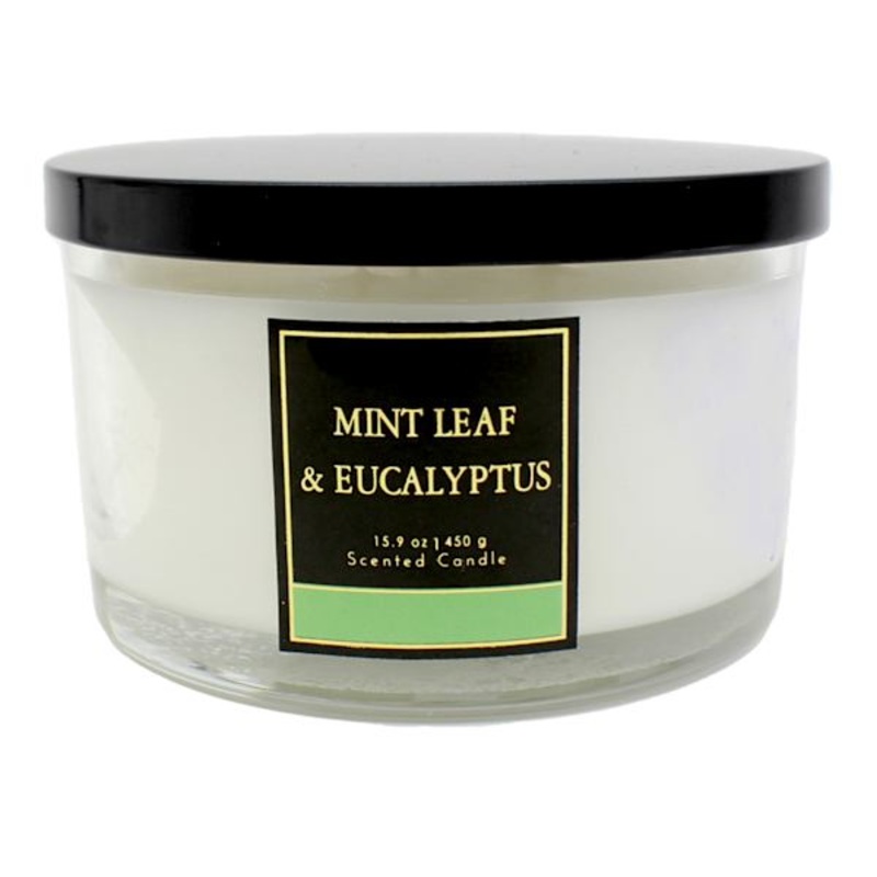 Mint Leaf & Eucalyptus Scented Jar Candle, 15.9oz