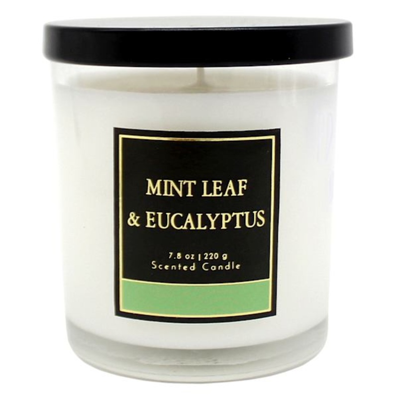 Mint Leaf & Eucalyptus Scented Jar Candle, 7.8oz
