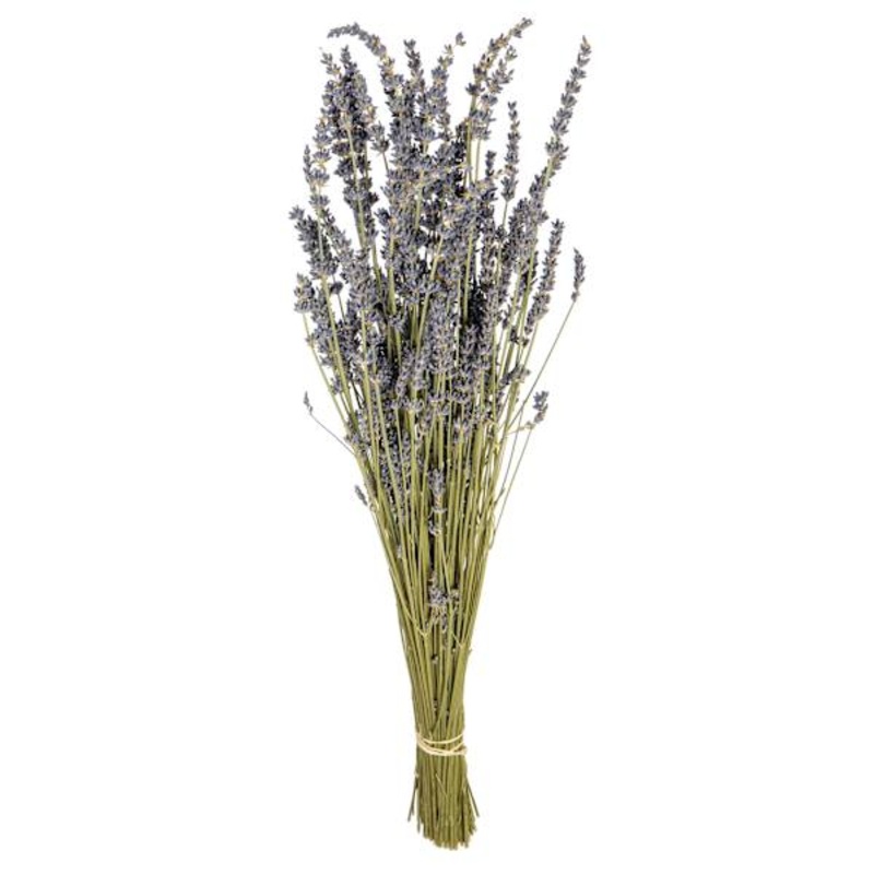40-Pack 1oz Lavender Bouquets with Display
