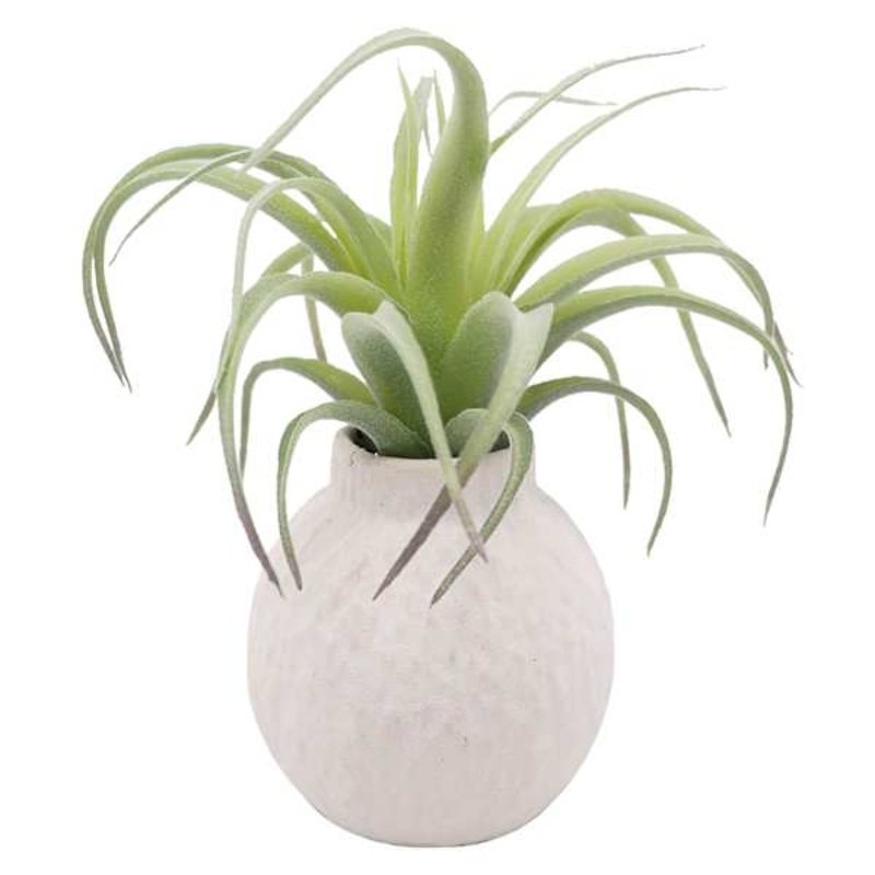 Air Grass In Ceramic Pot, 6″